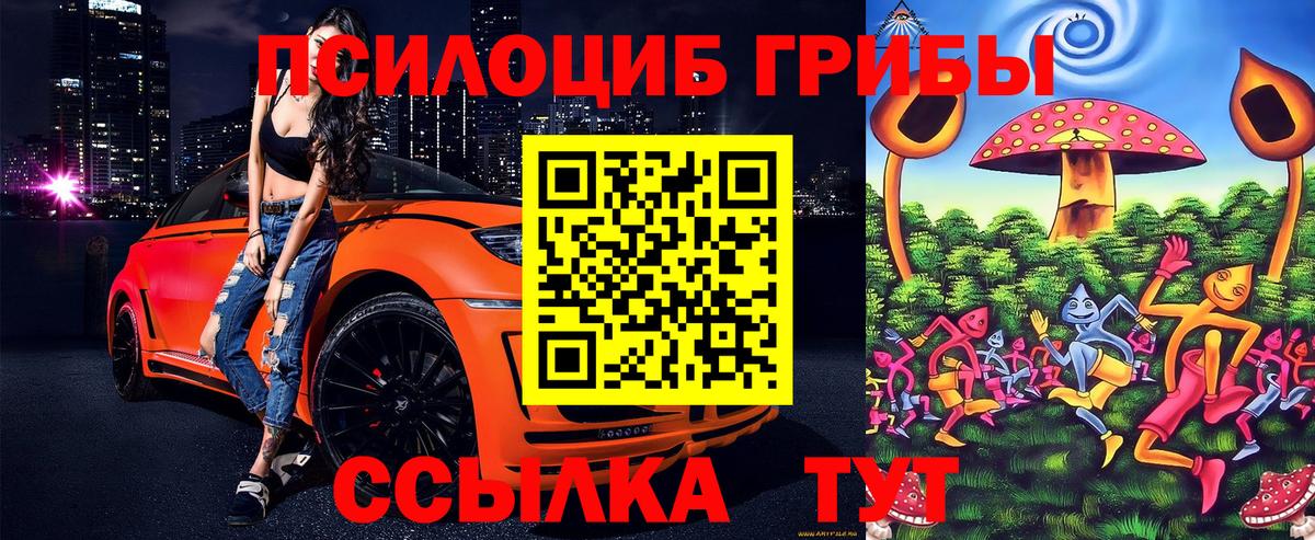 Псилоцибиновые грибы Psilocybe  Вход с VPN  Псилоцибиновые грибы MAGIC MUSHROOMS  Можайск 